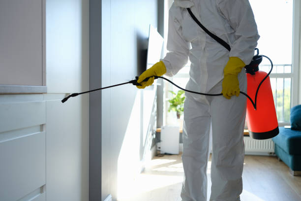 Best Mold Remediation Experts  in Amarillo, TX