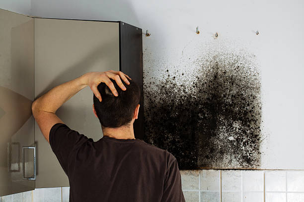 Best Home Mold Removal  in Amarillo, TX